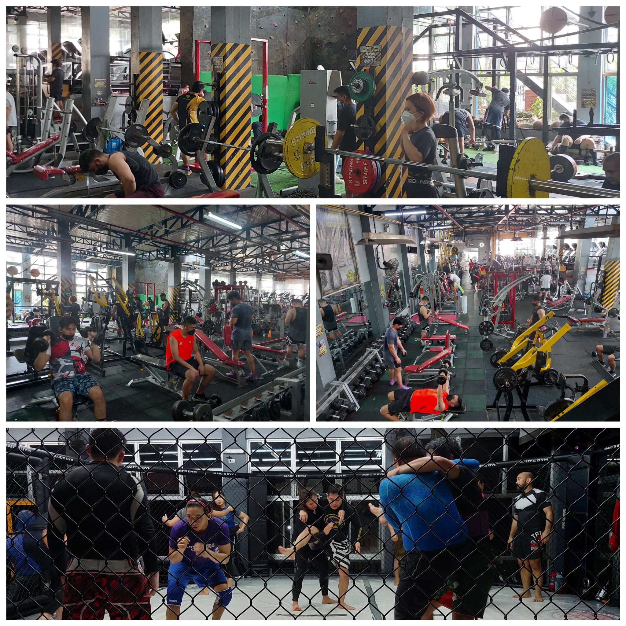 Where to Find the Cheapest Gym Membership in the Philippines